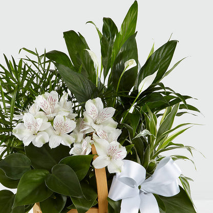 Peace & Serenity Dishgarden –  Angelic Floral Studio, Rosemead CA