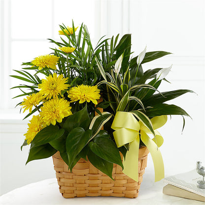Loving Light Dishgarden –  Angelic Floral Studio, Rosemead CA