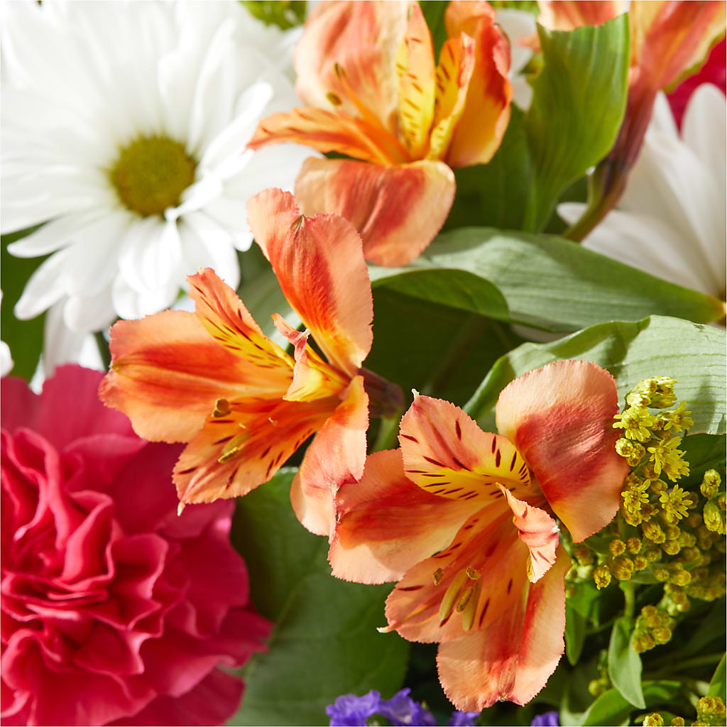 Oopsie Daisy Box Bouquet –  Angelic Floral Studio, Rosemead CA