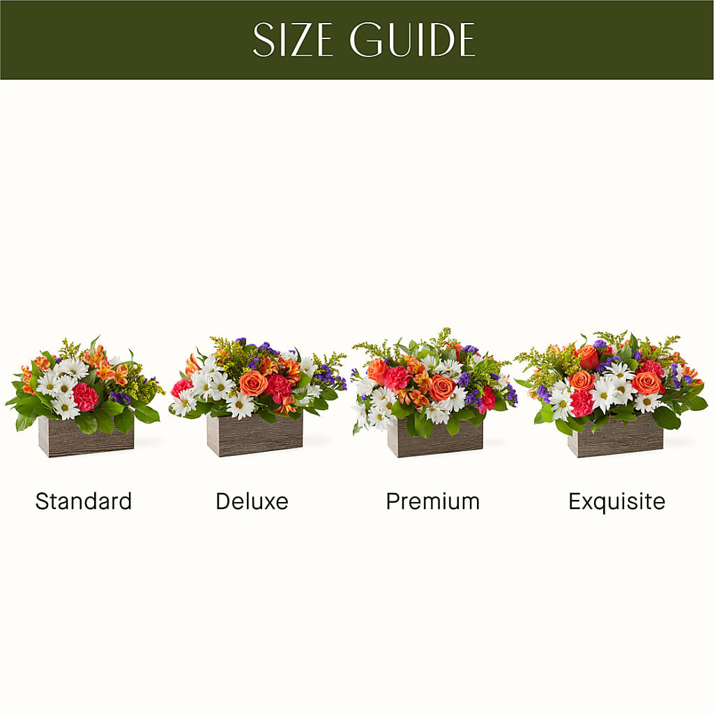 Oopsie Daisy Box Bouquet –  Angelic Floral Studio, Rosemead CA