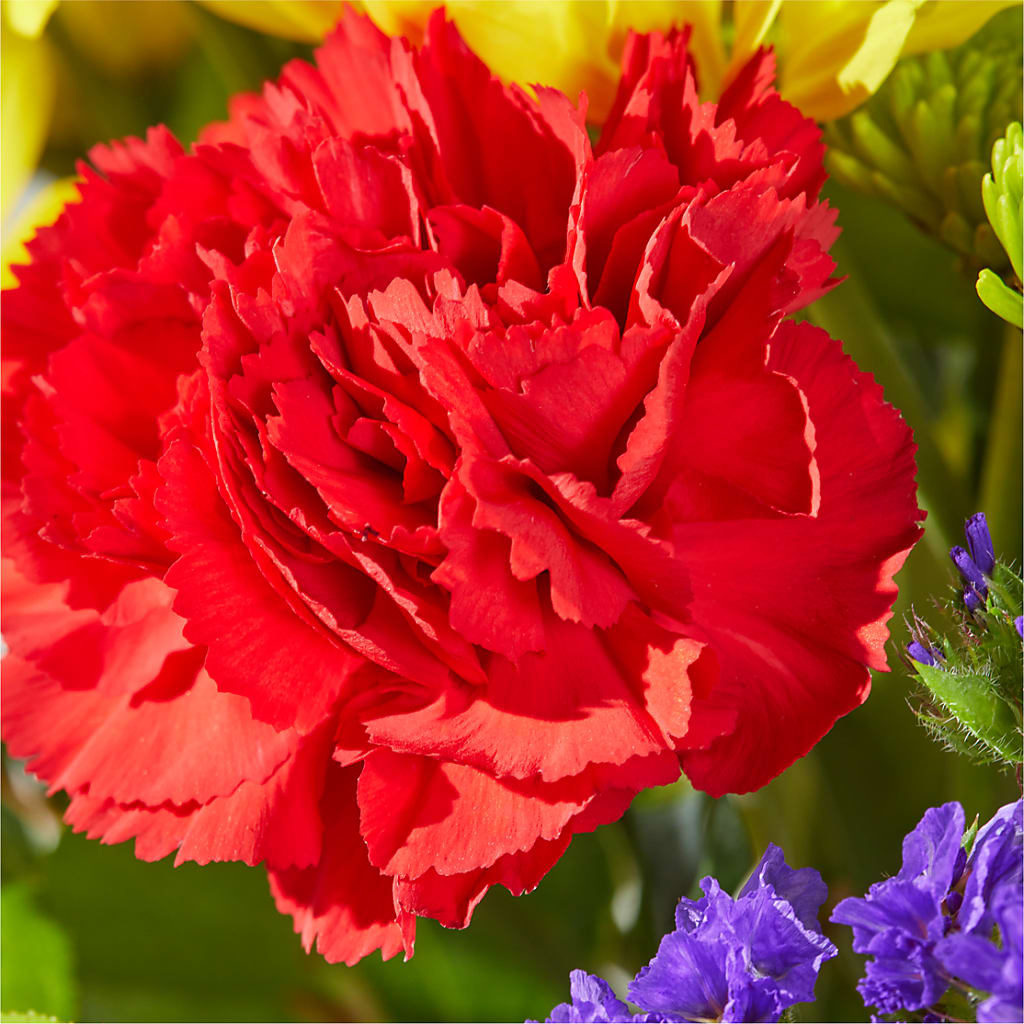 Brighter Days Bouquet –  Angelic Floral Studio, Rosemead CA