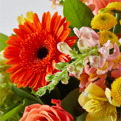 Autumn Sunshine Bouquet –  Angelic Floral Studio, Rosemead CA