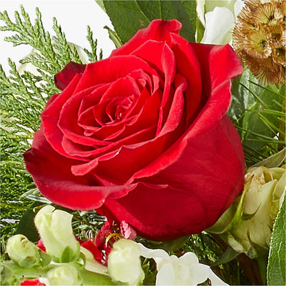 Deck the Halls Bouquet –  Angelic Floral Studio, Rosemead CA