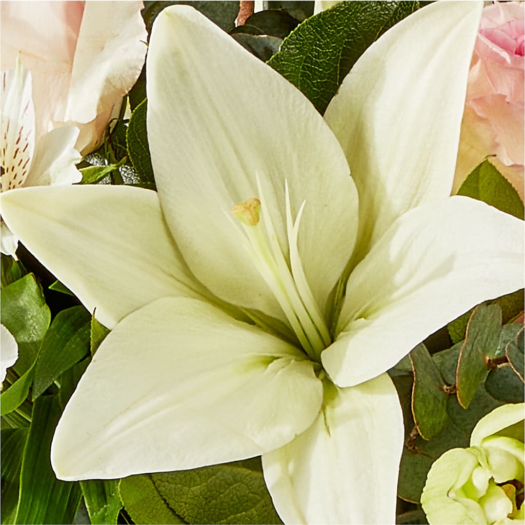 Ballet Slippers Bouquet –  Angelic Floral Studio, Rosemead CA